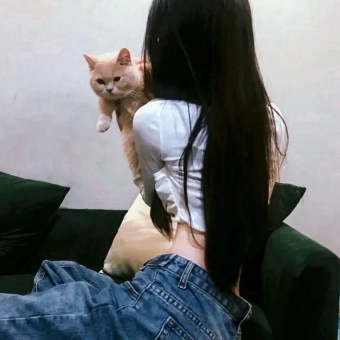 奥尔高索洛的强盗
